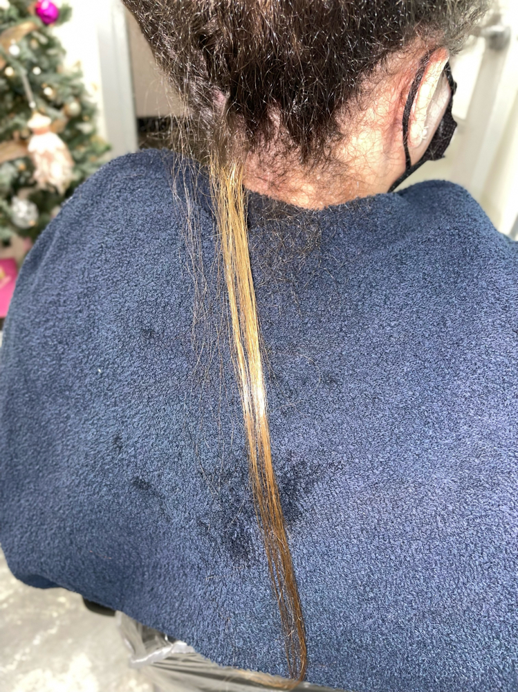 COLOR CONSULTATION