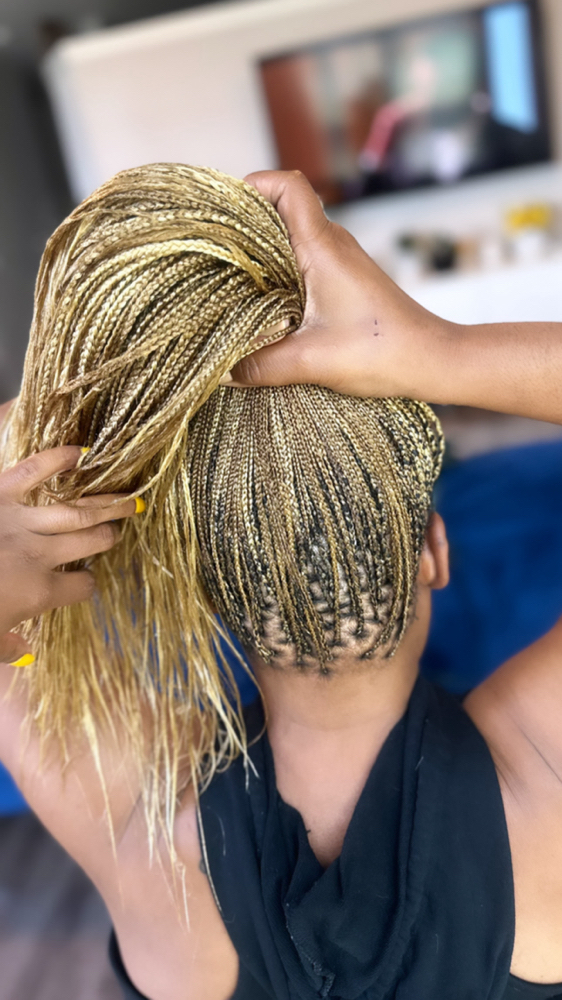 Micro Traditional Box Braids