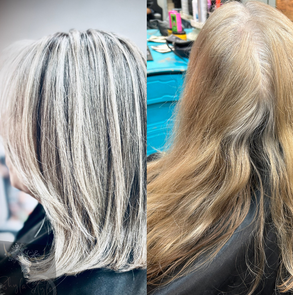 Highlights