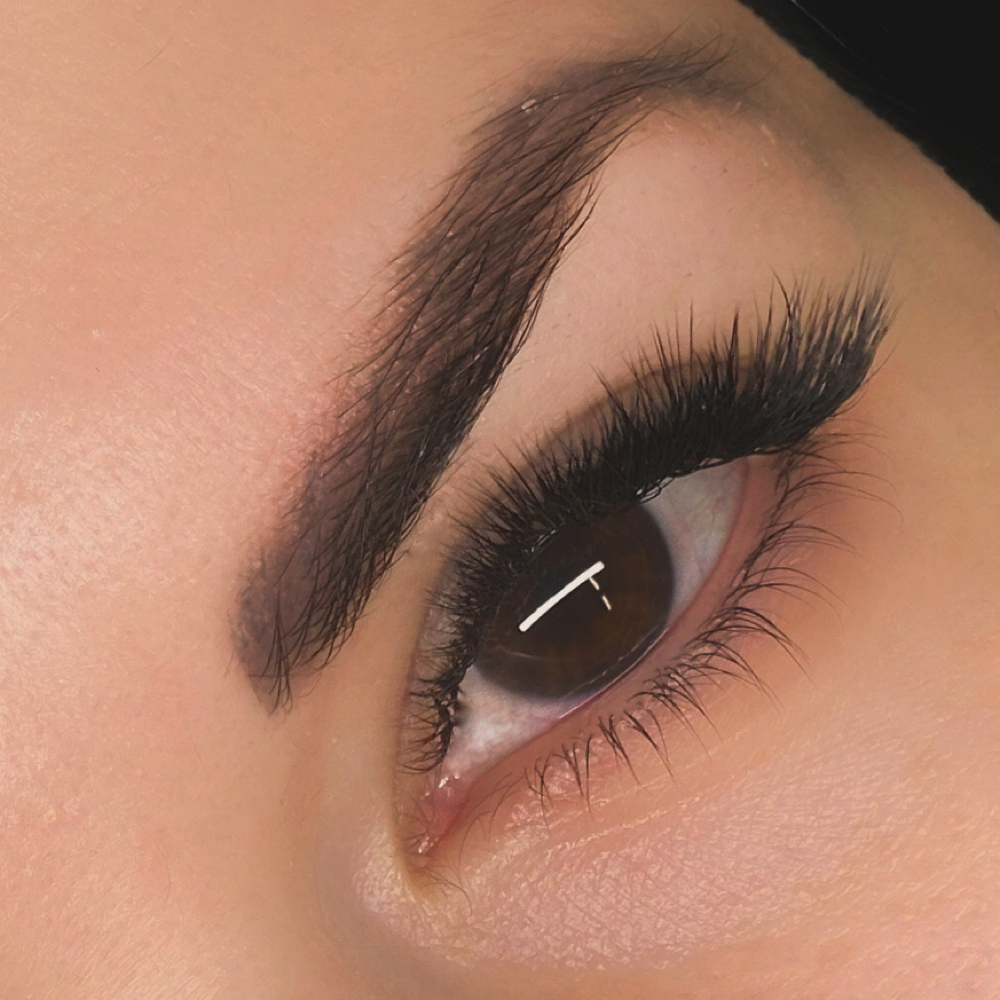 Volume 4 D  Lash Extensions at SH Lash Beauty in Beverly Hills, CA