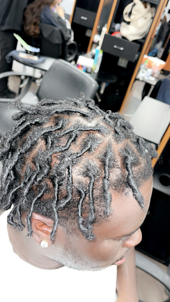 Starter Locs