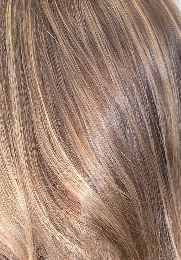 Braided Balayage