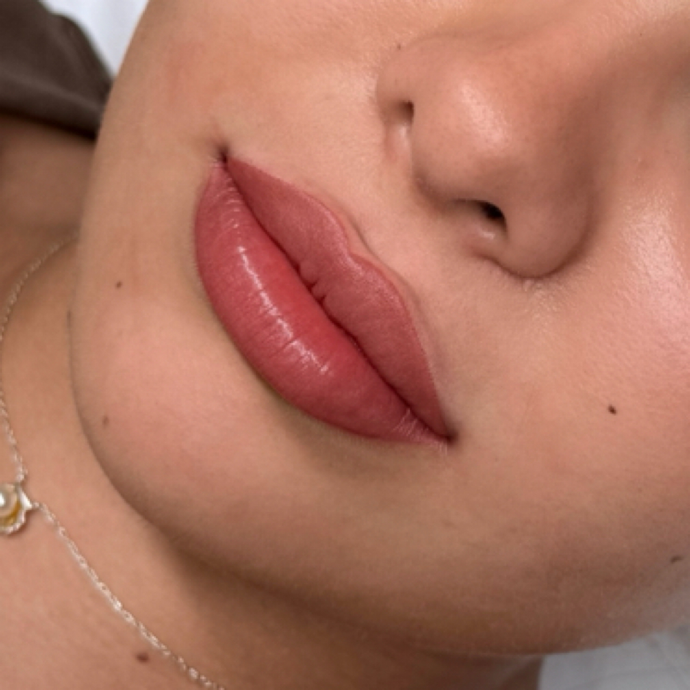 Lip Blush Annual Touch Up at Blushed By Lex in Land O Lakes, FL