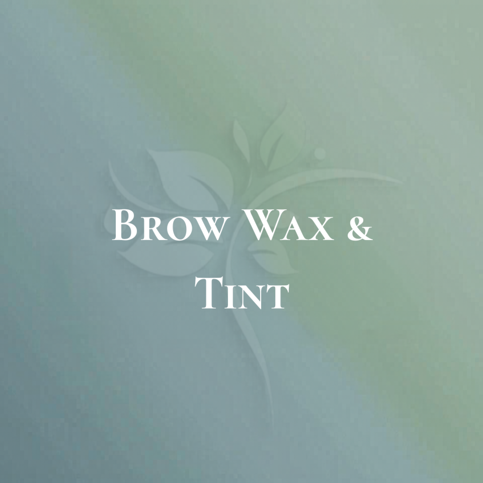 Brow Wax & Tint at Elysian Esthetics Spa in Loganville, GA