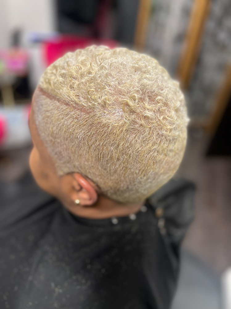 Women's Cut (Quick Line Up) at C Evans Barber Beauty in Westerville, OH