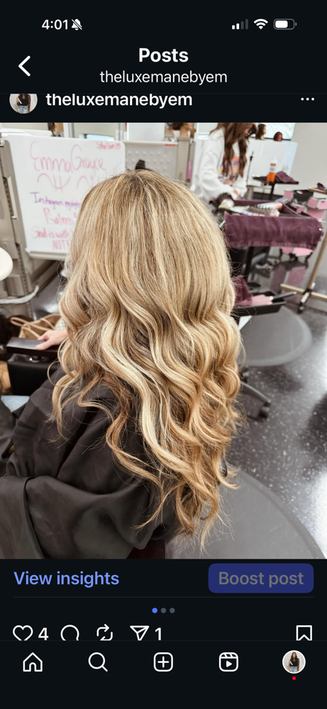 Partial Foil at The Luxe Mane by Em in Irmo, SC