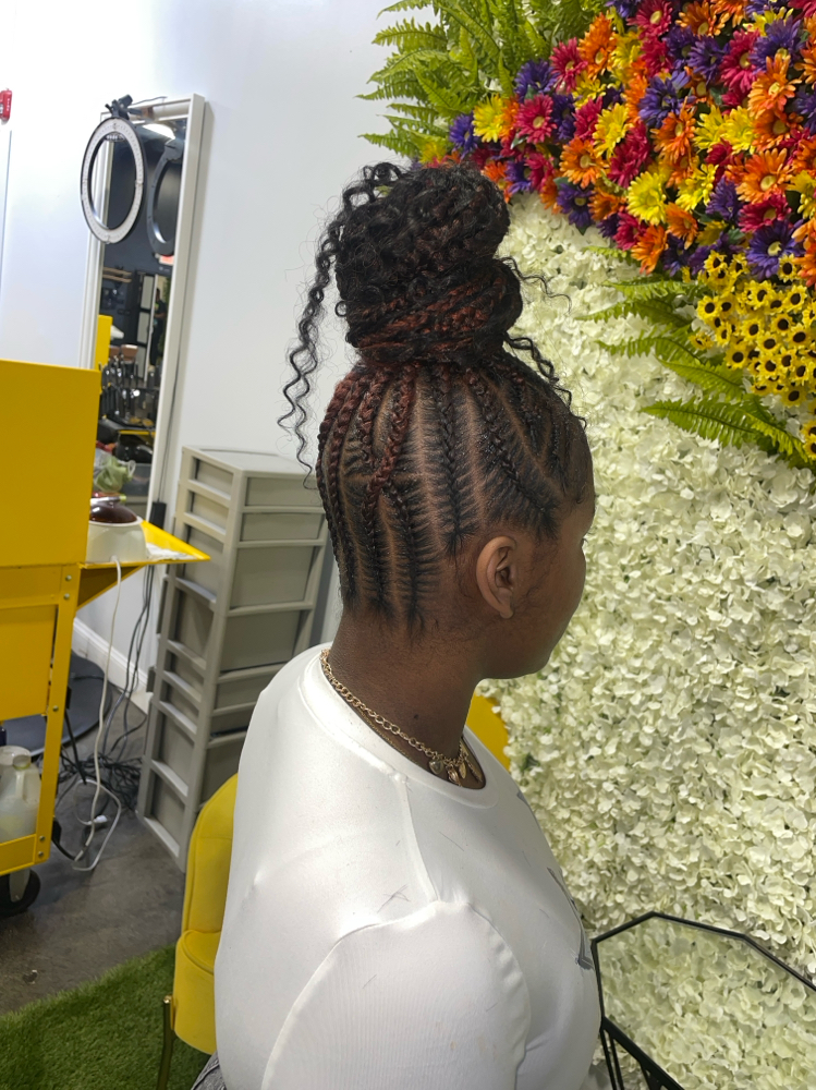 Braided Ponytail