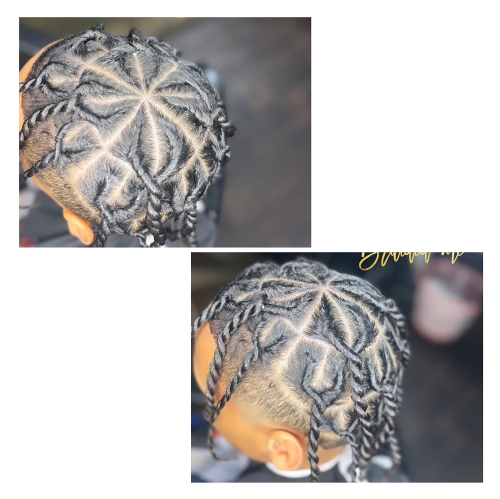 Twist Natural Hair