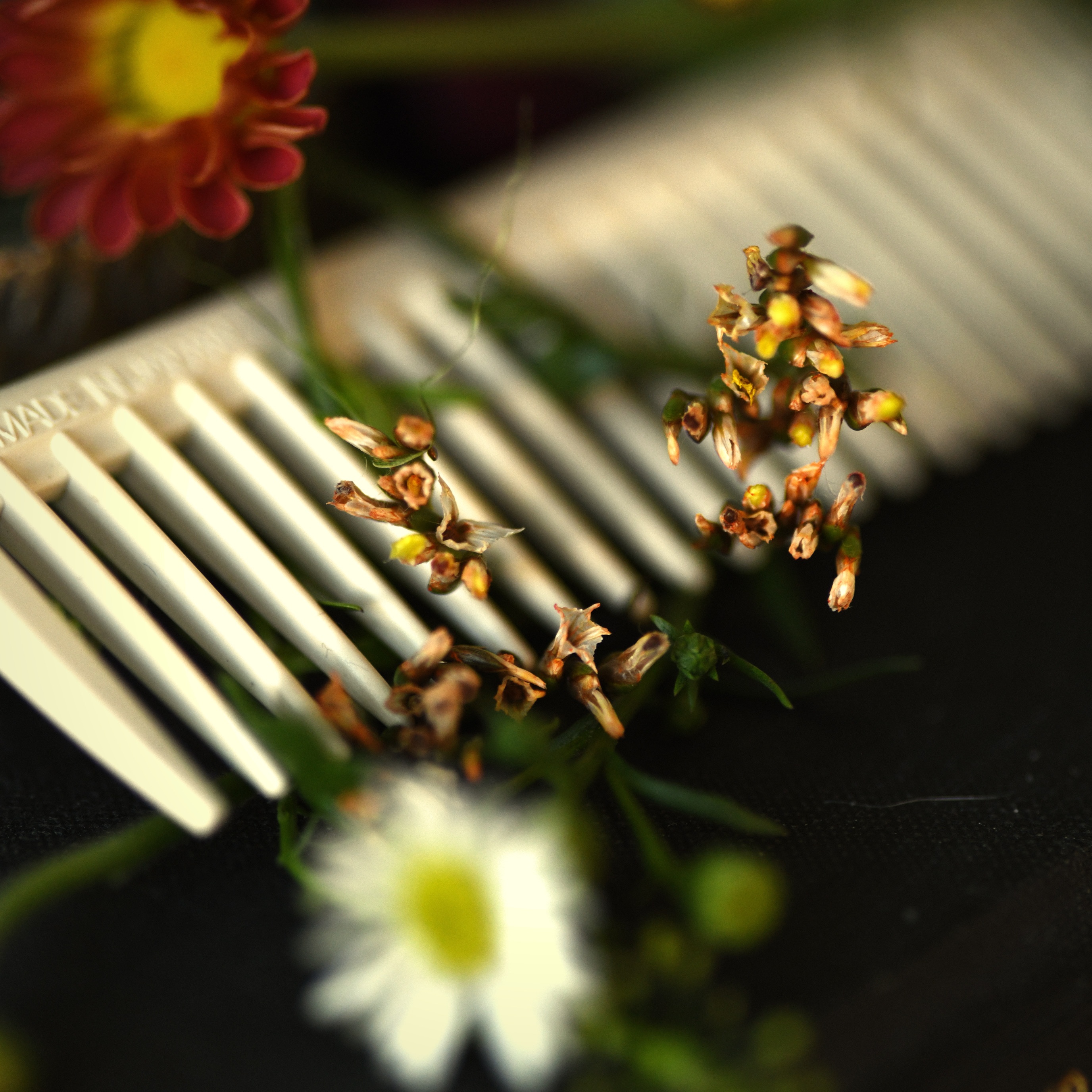 30 Minute Clipper Haircut