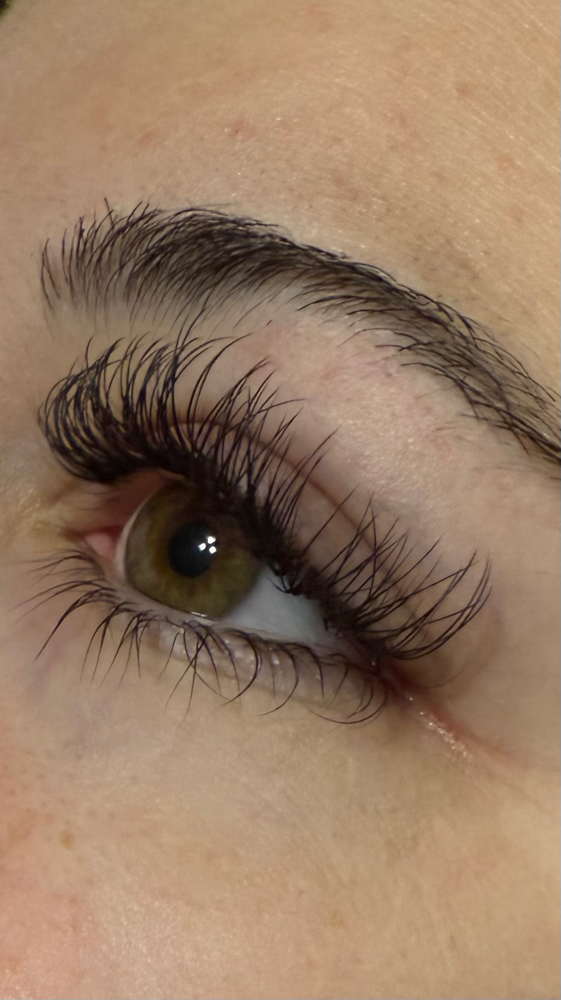 Black classic lash fill in