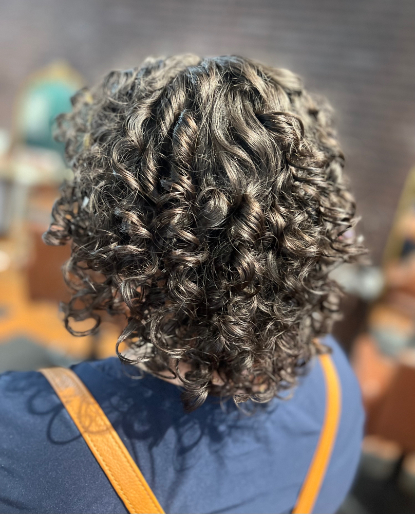 Curly/Wavy Haircut