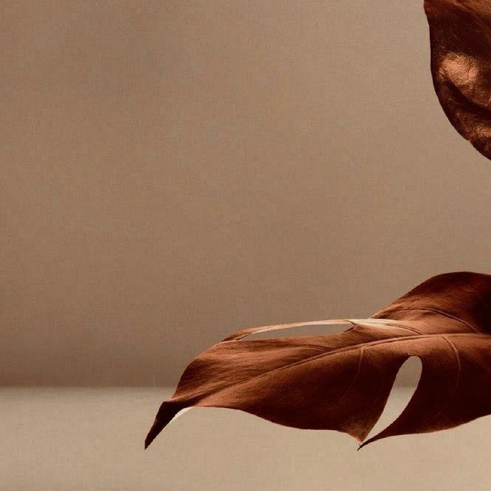 The SOMA Detox at The AfterFlow by SOMA in Austell, GA