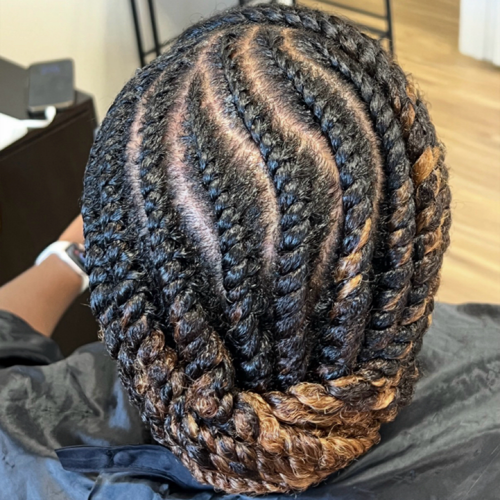 Flat Twist Set with Steam Treatment at Ashley Lynn Hair Care in Charlotte, NC