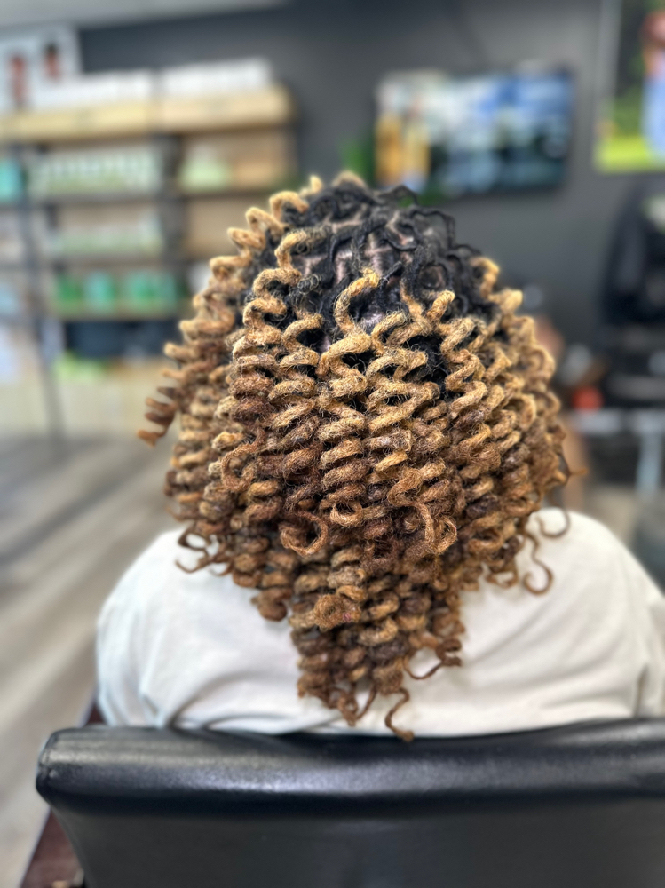 Loc Maintenance w/ curl set