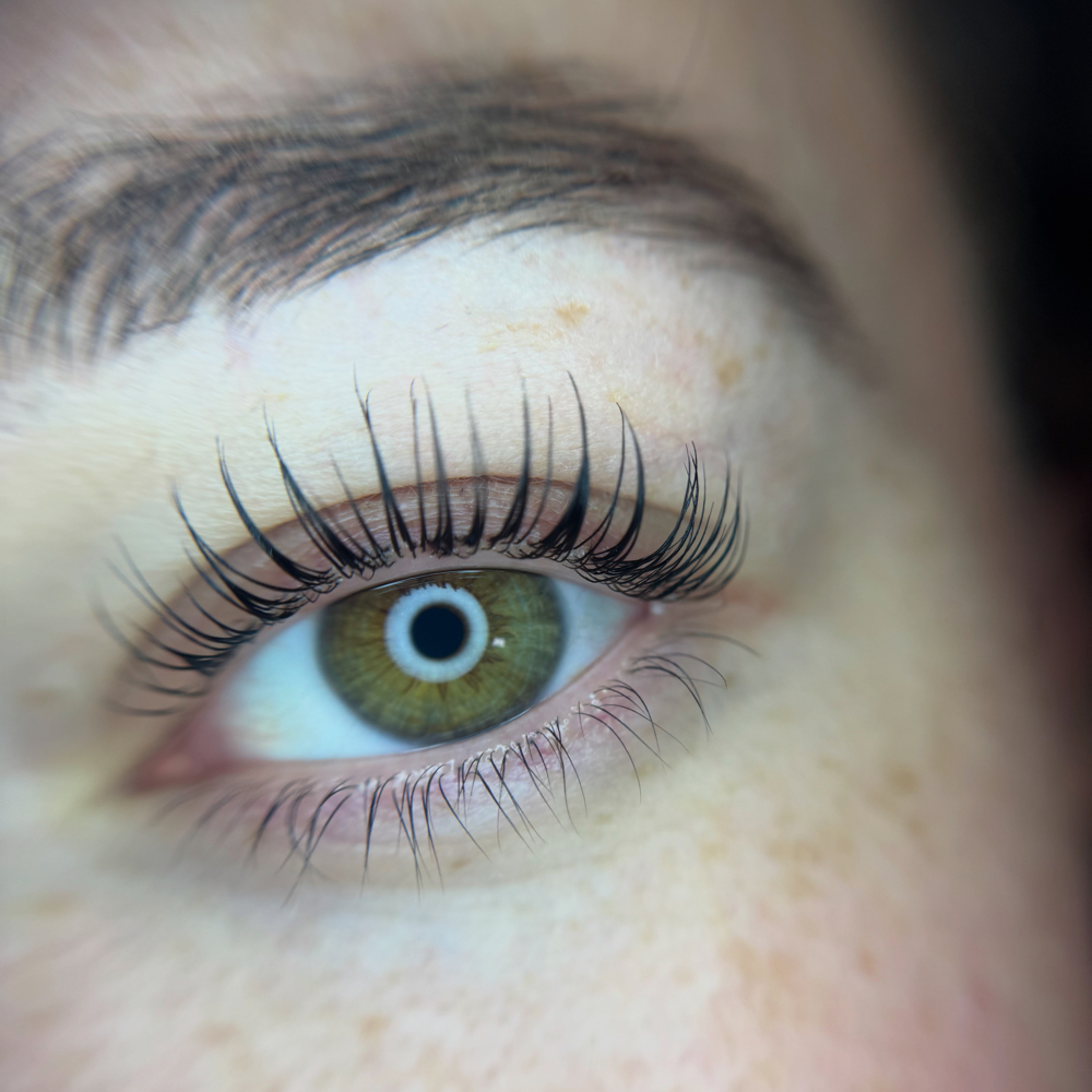 August Lash Lift & Tint + Brow Wax