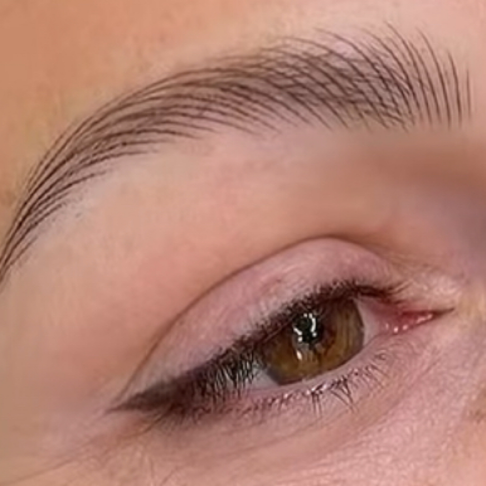 Nano Hairstroke at JaneBrows in Plantation, FL