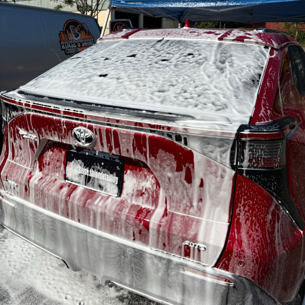 Level II at Rinse & Shine Mobile Detailing