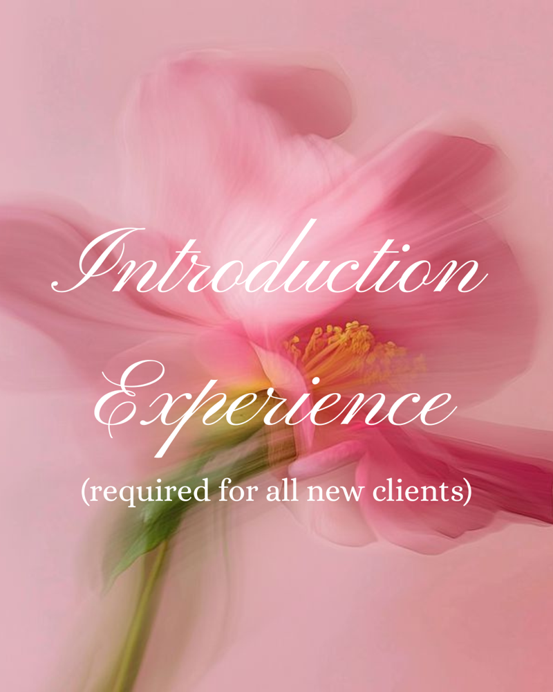 New Client Consultation + Facial