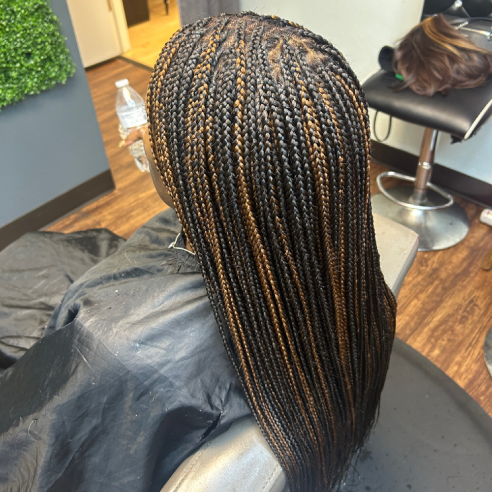 Knotless braids with frontal includ at TheBraider Hair Academy in Duncanville, TX