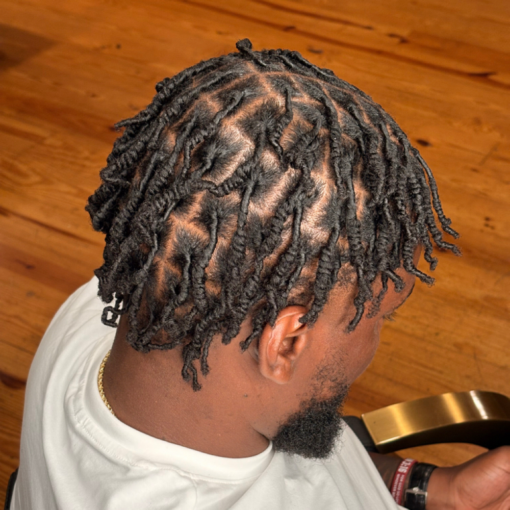 Starter Locs at Plumbhunneez in New Bedford, MA