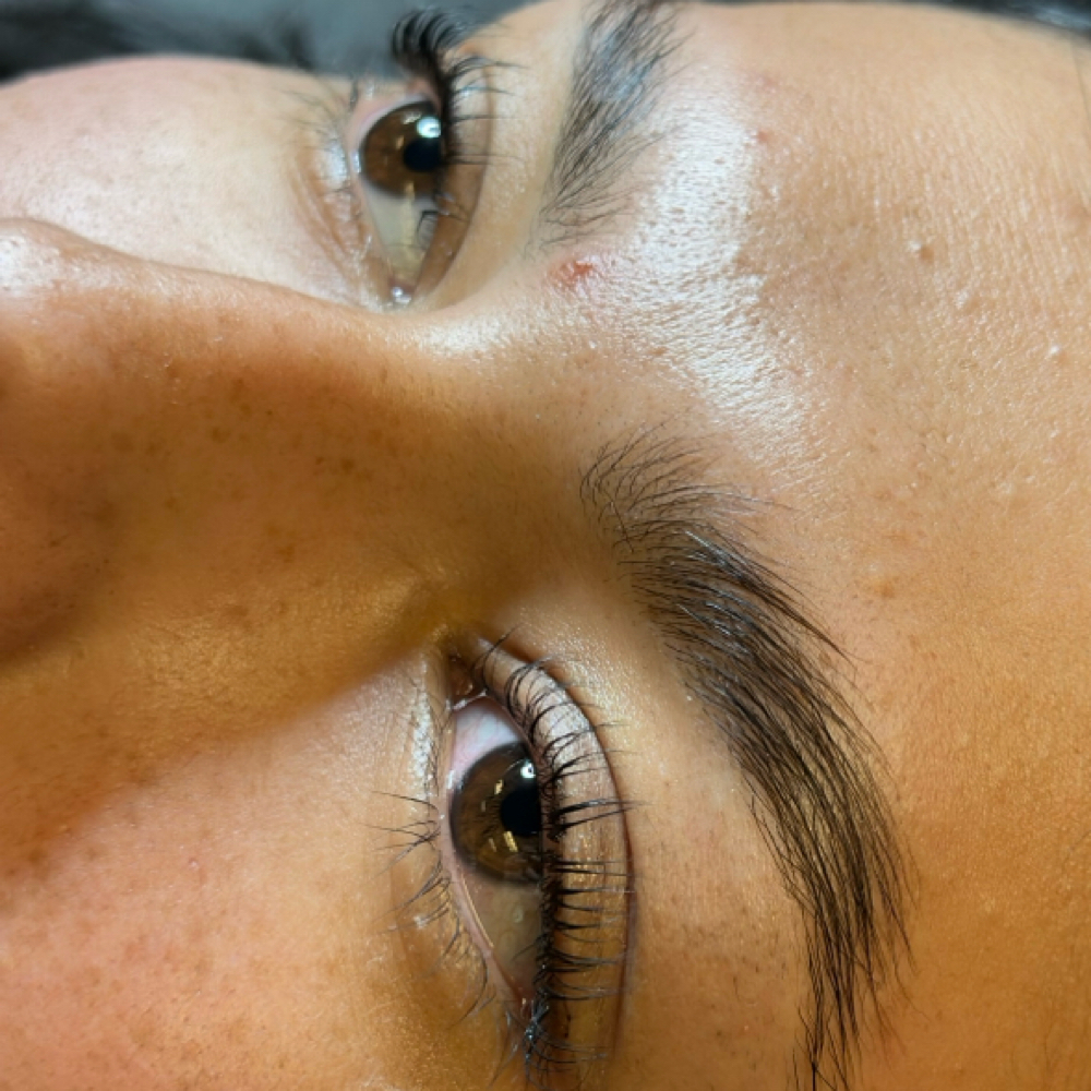 Lash Lift + Tint at The Esthetician Lab in West Chester, OH