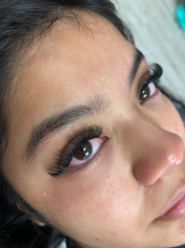 Mink Lash Special