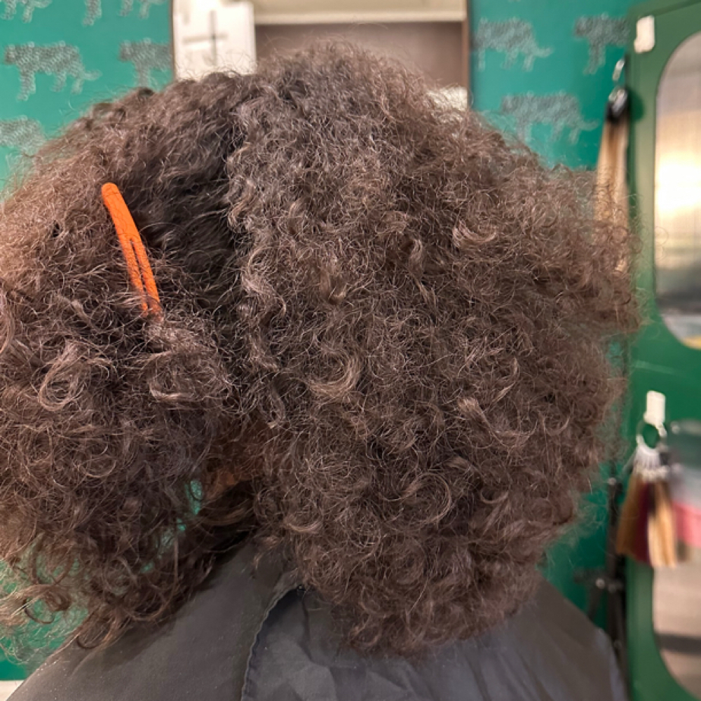 Express Curly Cut at THE KÜHL GIRL COLLECTIVE in San Jose, CA
