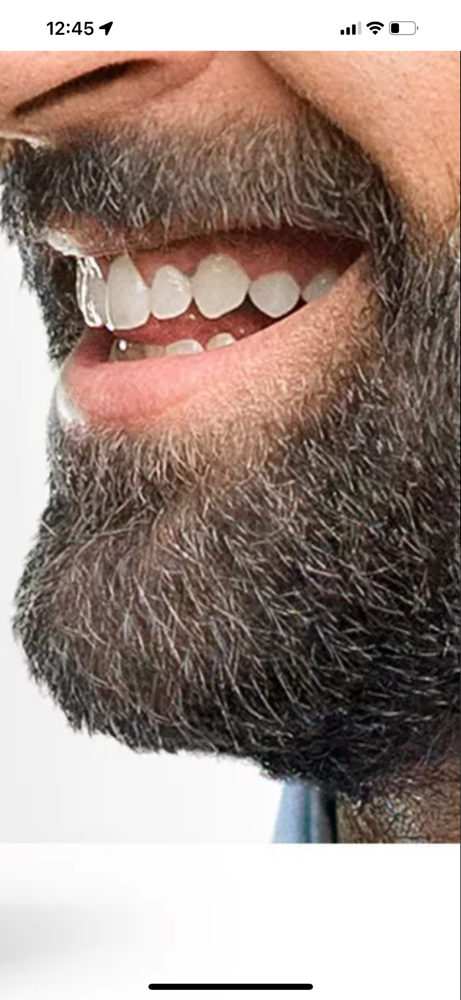 Men’s Beard Gray Blending/lining