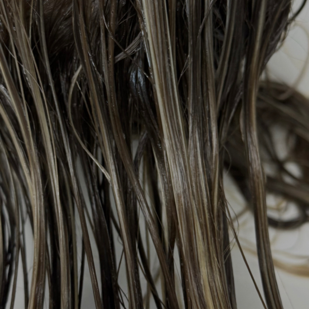 Gloss Treatment at Blended Babes in Corpus Christi, TX