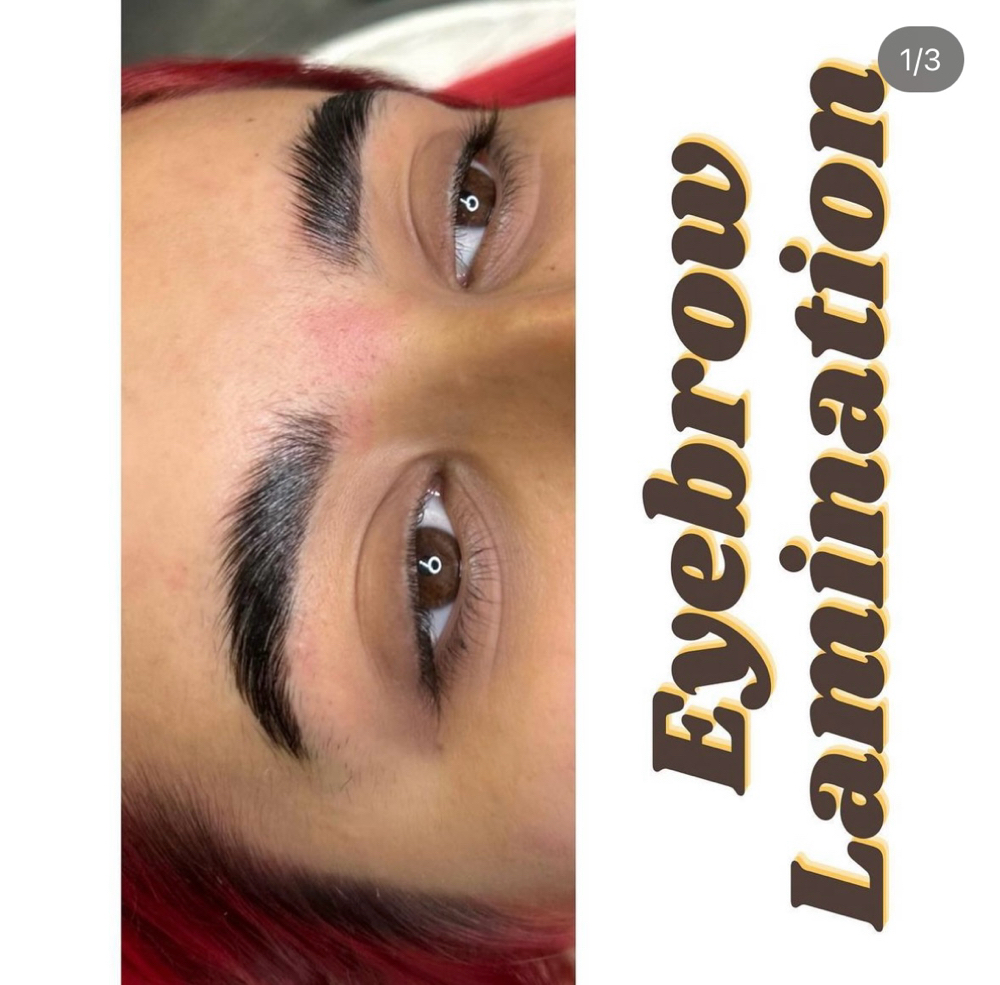 Eyebrow Lamination