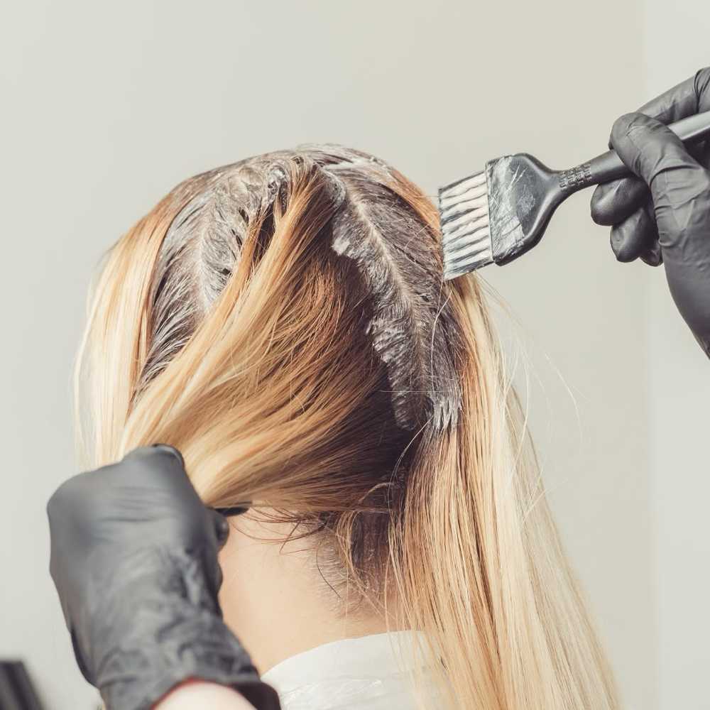 Root Touch Up