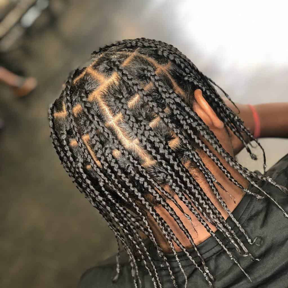 Box Braids Medium (no Extensions) at Magic Kingdom in Worcester, MA