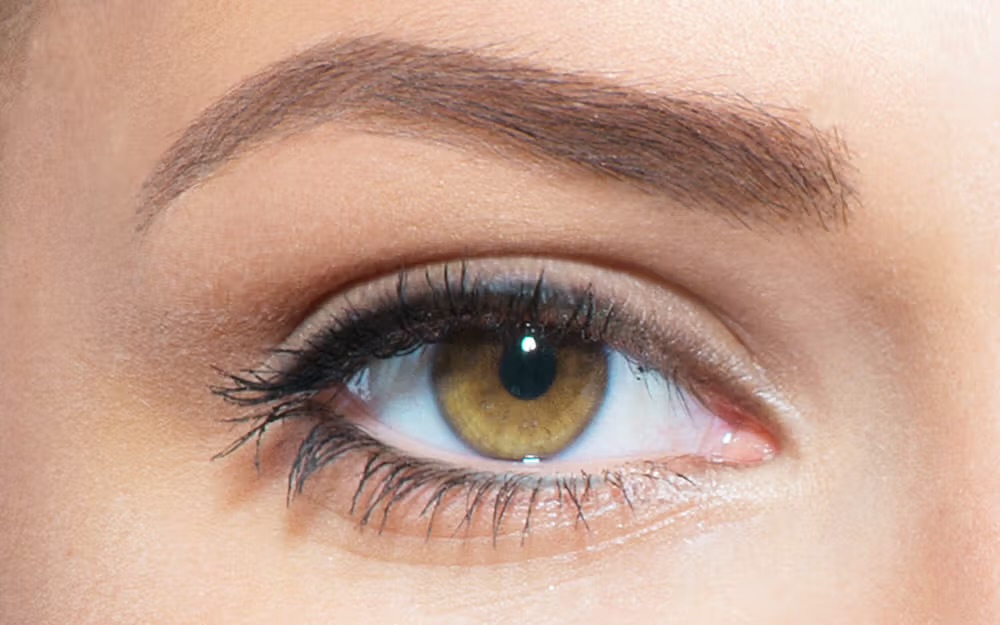 Top Liner Only
