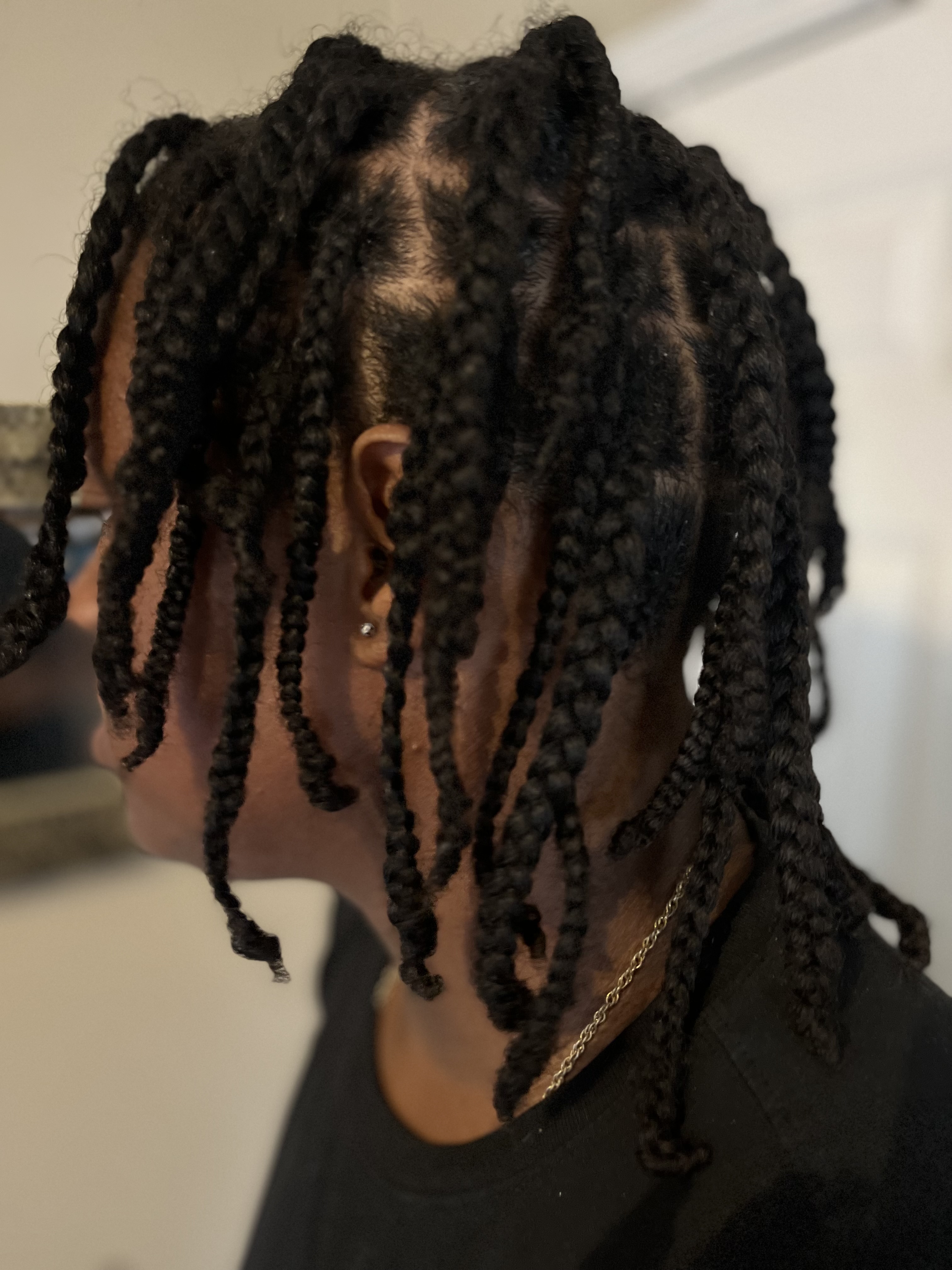 Box Braids (No Hair Added)