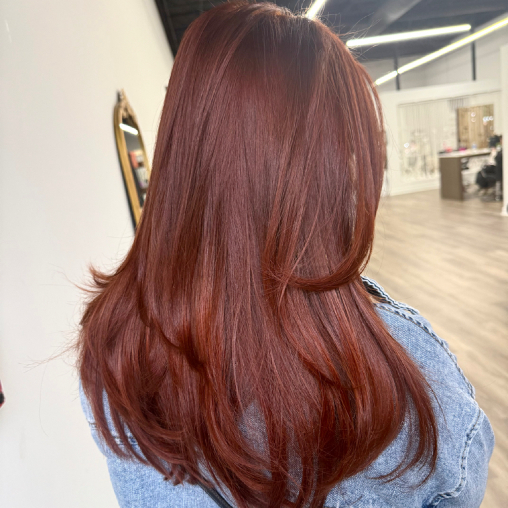Haircolor / Toner at Beautyxyaritza in Gurnee, IL
