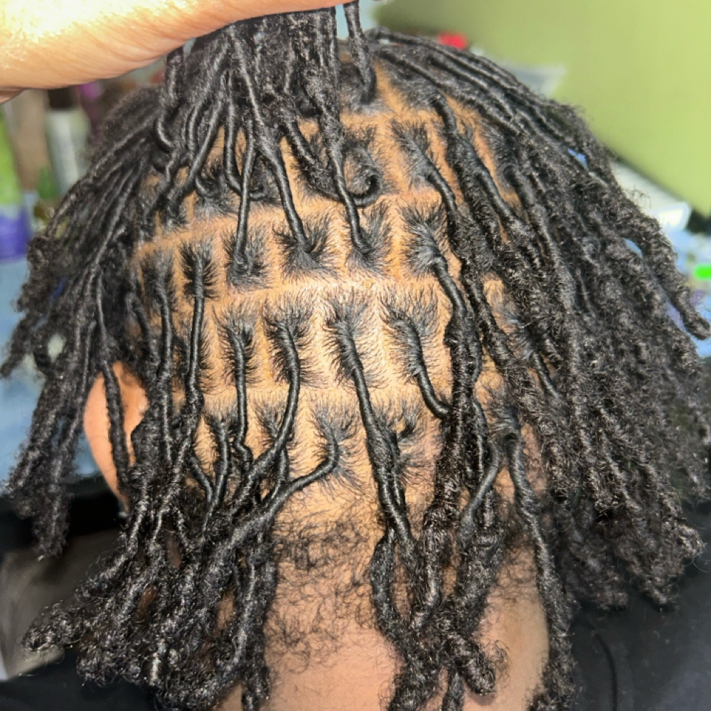 Coil Starter Locs at Eryka’s Hair Couture in Midlothian, IL