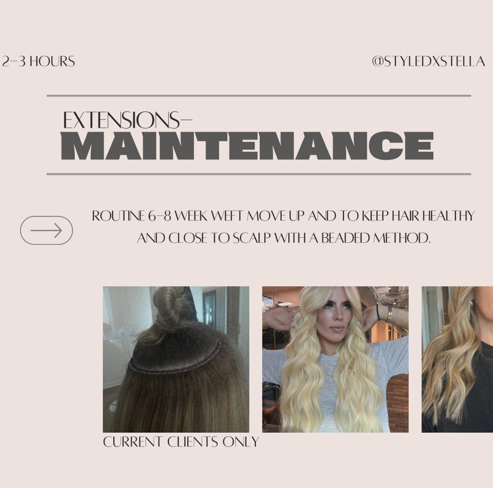 EXTENSIONS- MAINTENANCE