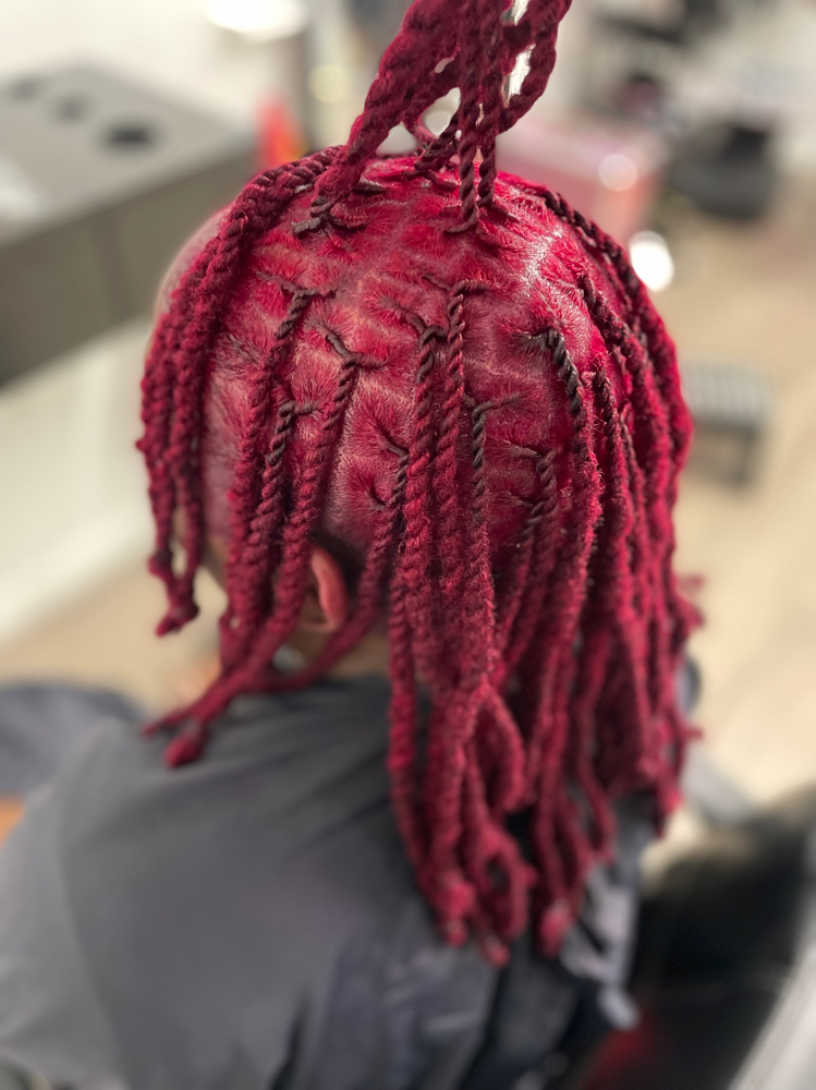 Color ( Consultation Required ) at NaturaLee Styling LLC in Charlotte, NC