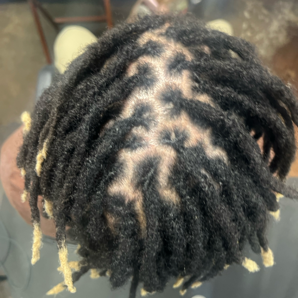 51-75 Locs Overhaul at LASHDAE of Roots To Royalty Studio in Phoenix, AZ