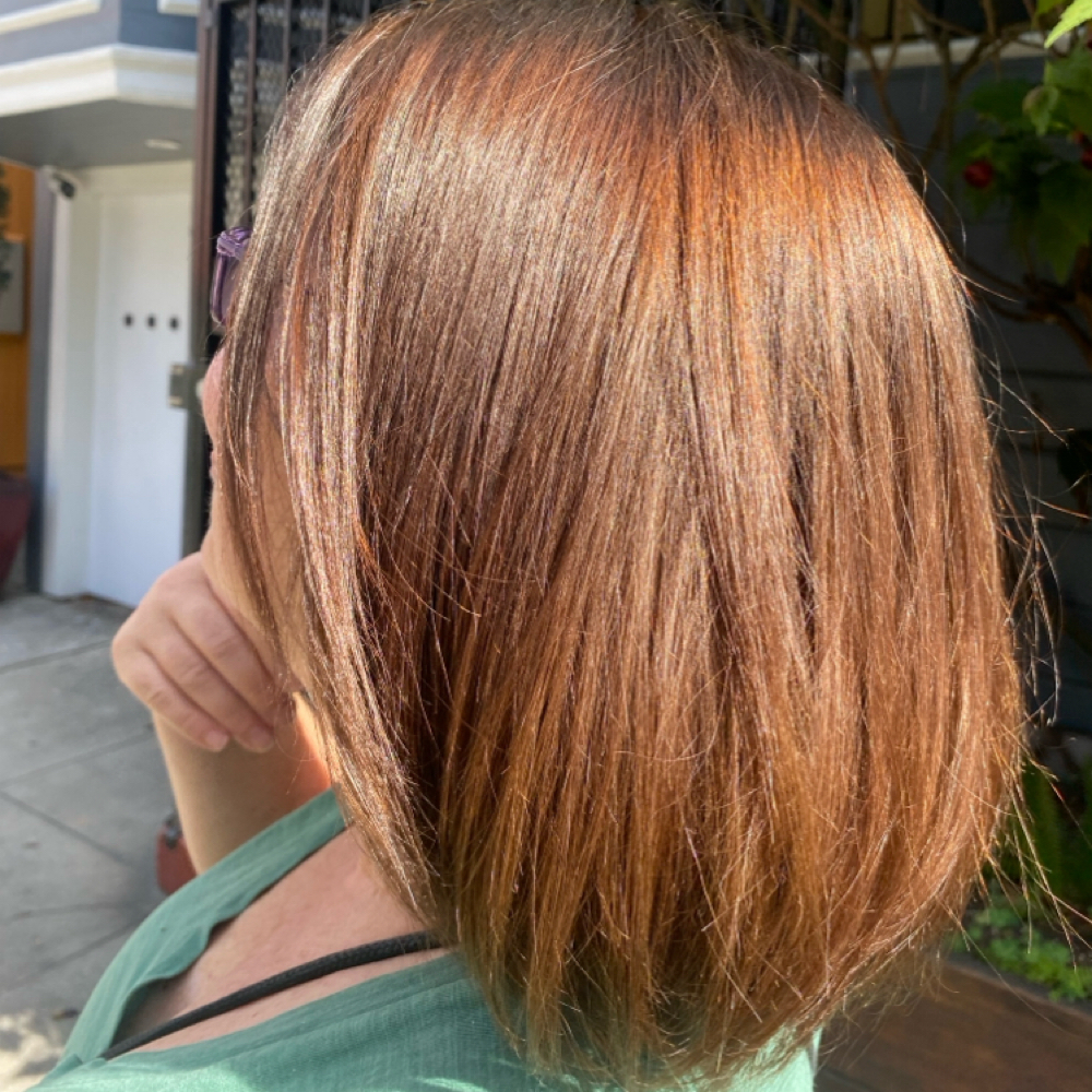 All Over Color at Wendi Canales in San Francisco, CA