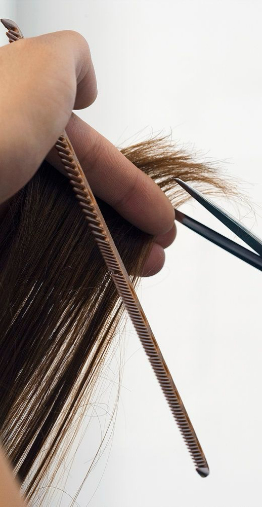 Wash, Cut, and Style
