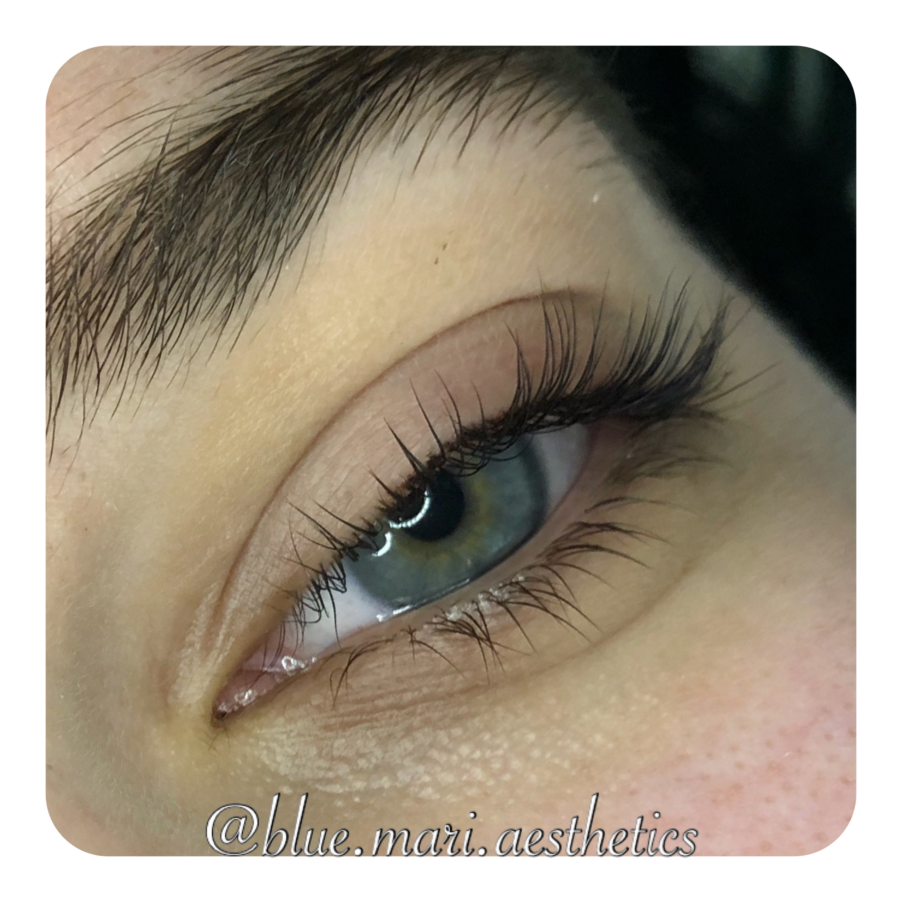 Lash Tint