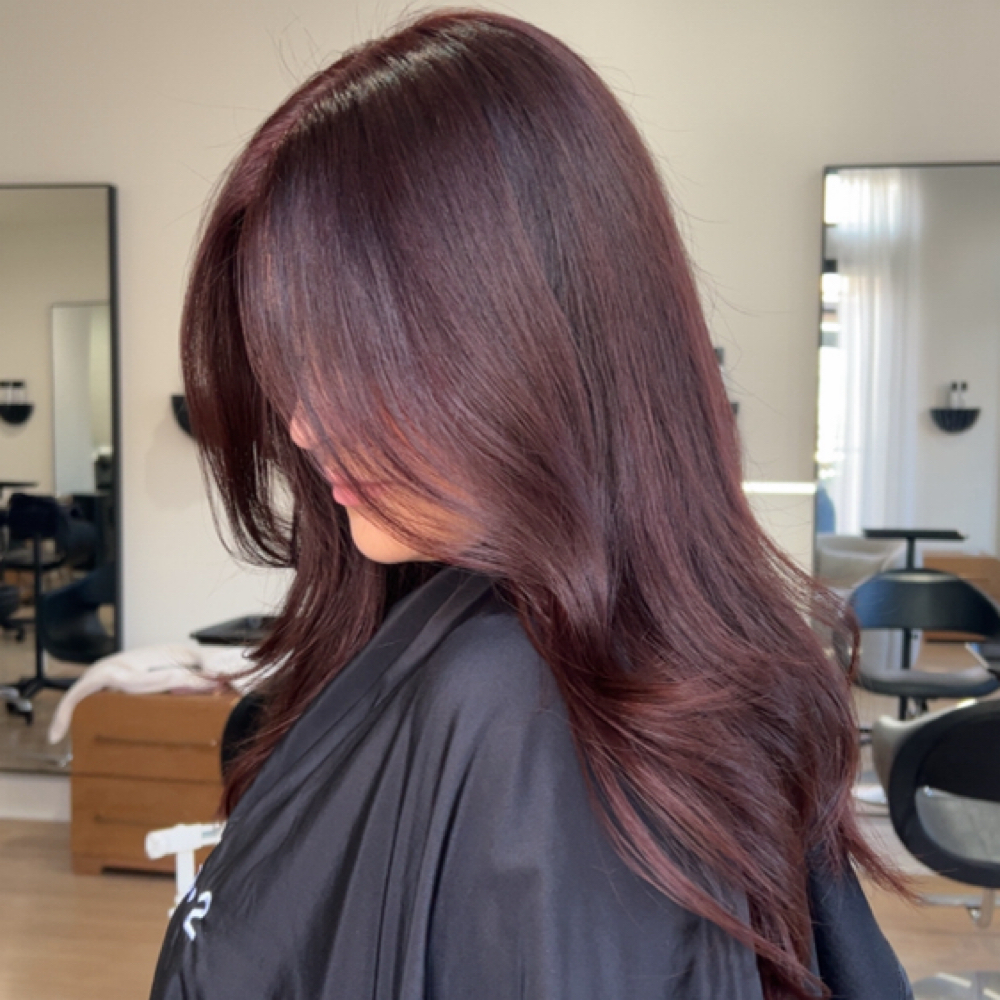 All Over Color at Amyxstylist in Dallas, TX
