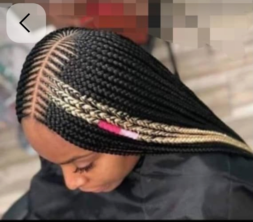 Tribal Cornrows Mid Size
