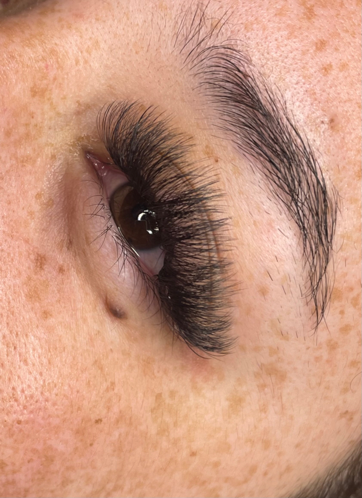 ExtensioMega Volume Lash extensions