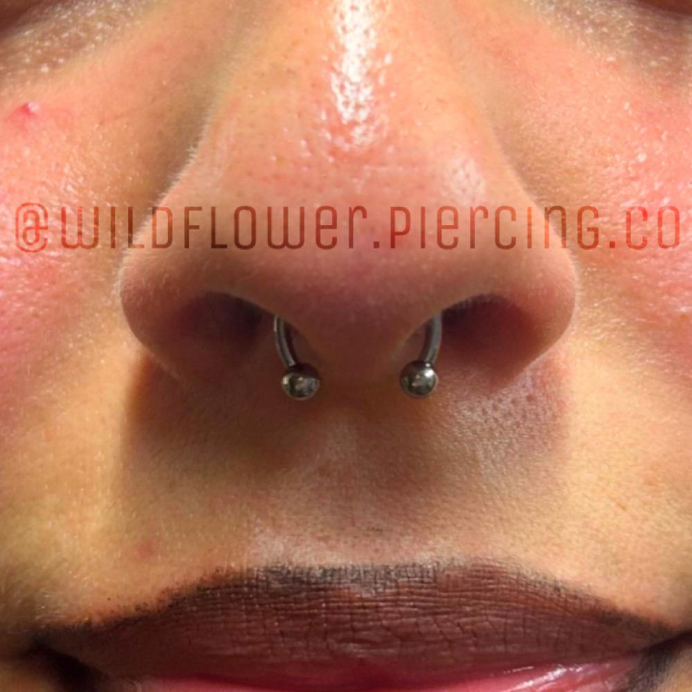 Septum 14+ at Wildflower Piercing Company in Alturas, CA