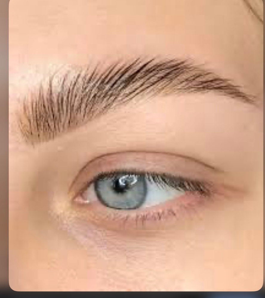 Eyebrow Lamination