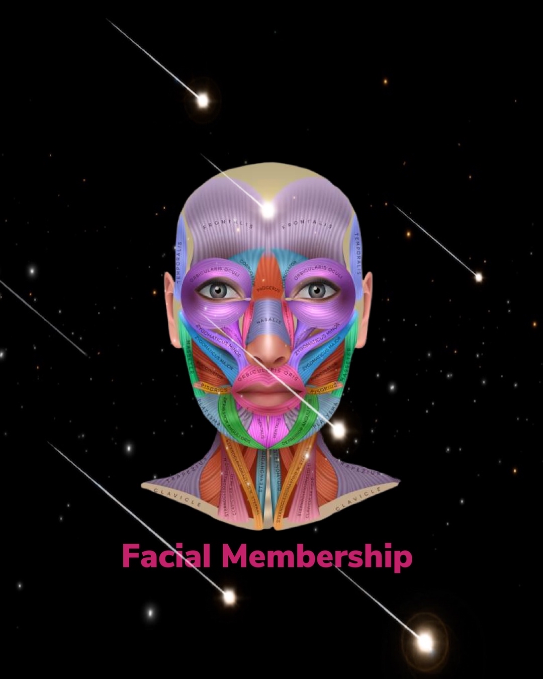 Membership Facial ( Members Only )