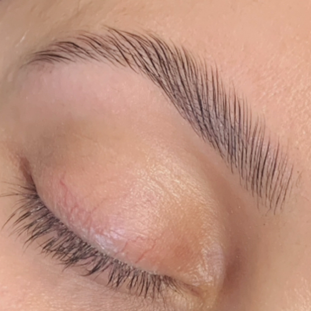 Brow Lamination + Brow wax at Wildflower Beauty Studio in East Meadow, NY
