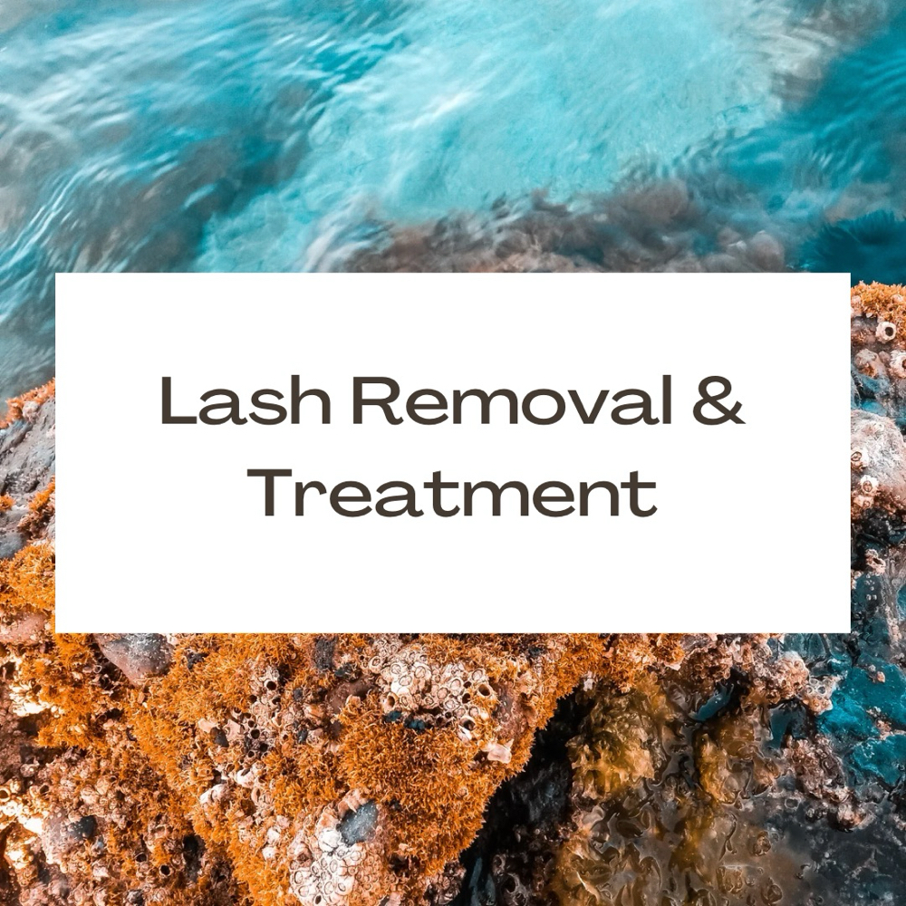 Lash Removal & Treatment